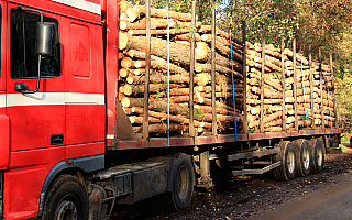 Transport drewna pod lupą kontrolerów. Sprawdzano przede wszystkim legalność pozyskania surowca